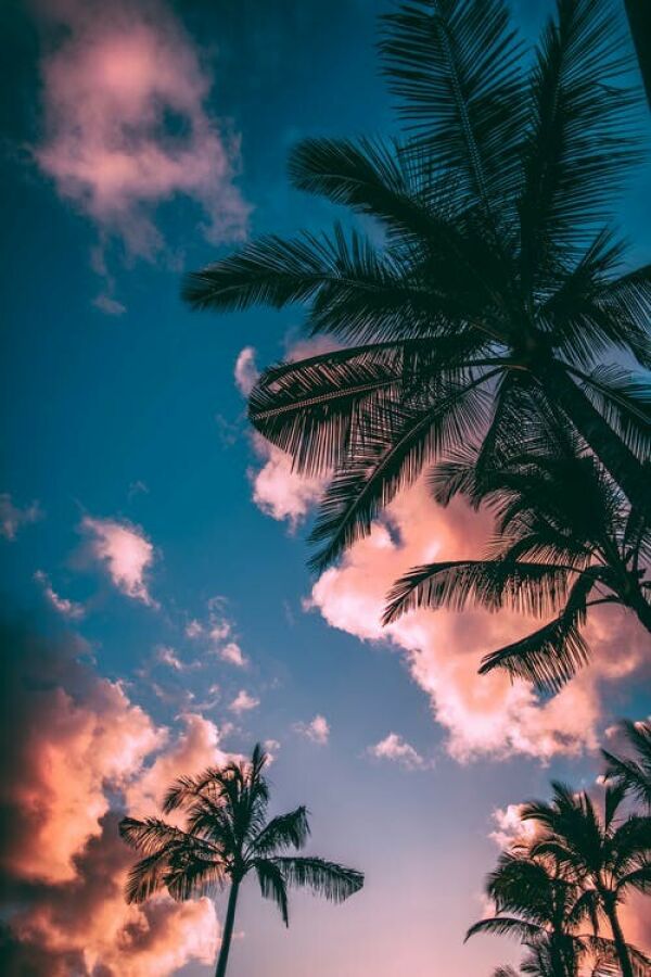 Wallpaper Name