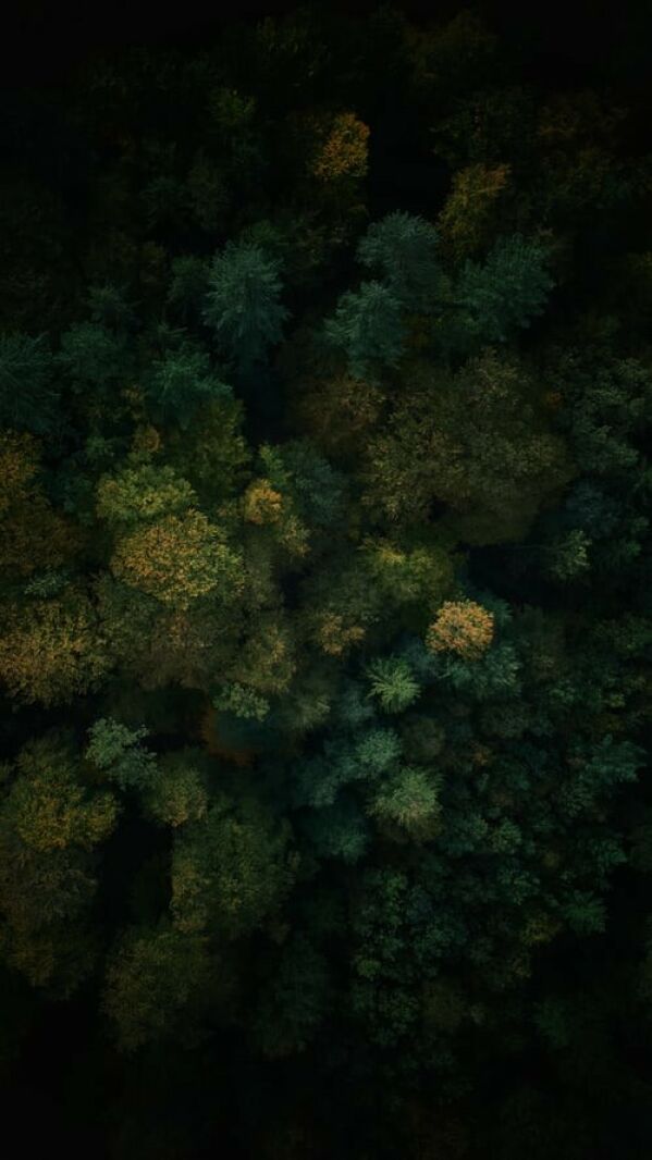 Wallpaper Name