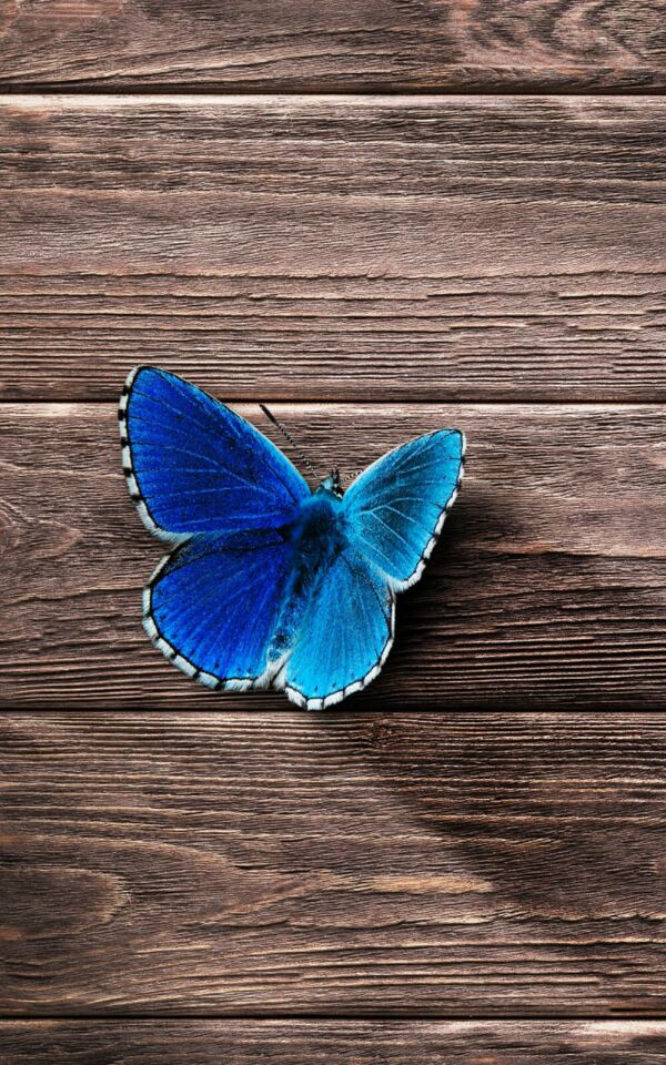 Wallpaper Name