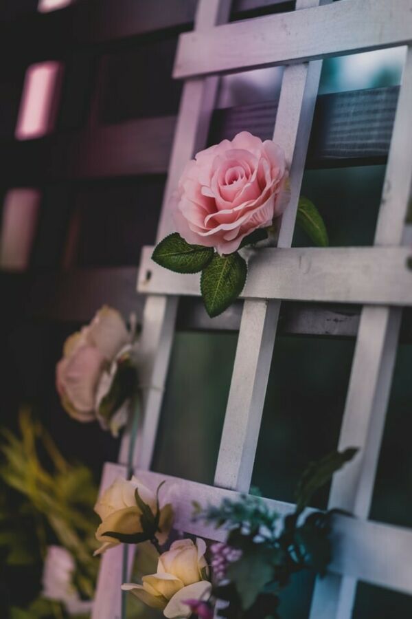 Wallpaper Name