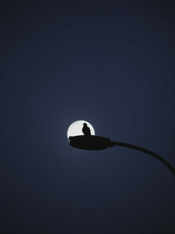 Wallpaper Name